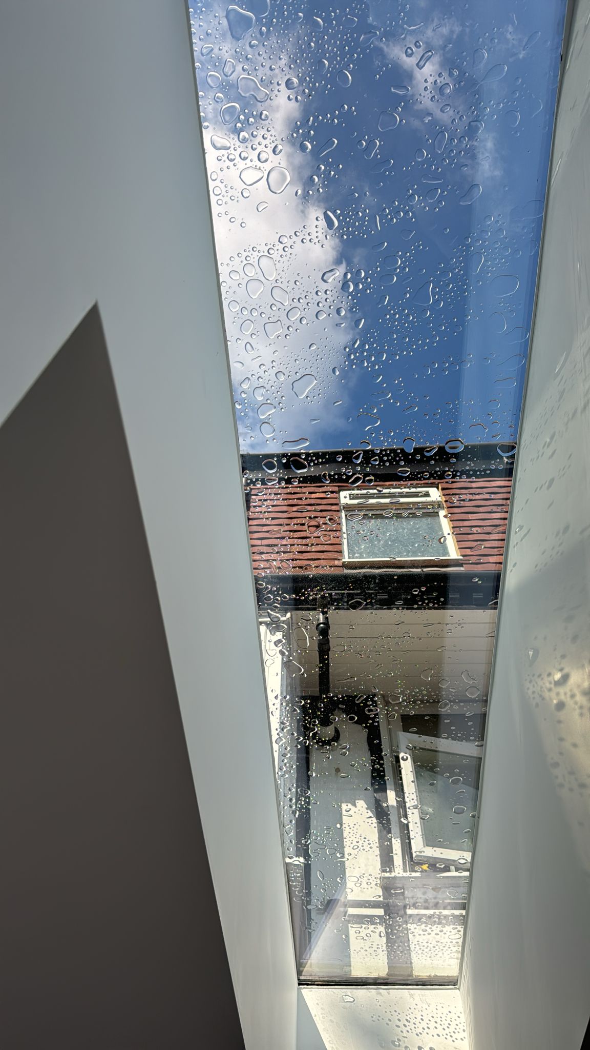 Rooflight Detail